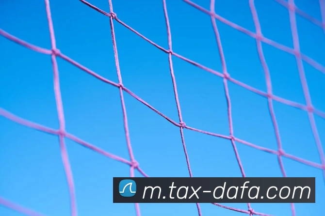 大发彩票发展历程